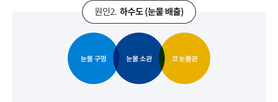 눈물흘림증의 원인