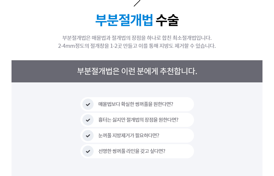 부분절개법
